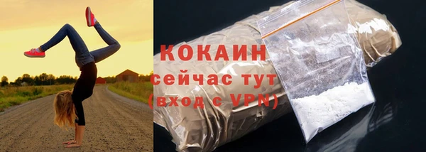 ешки Аркадак