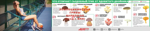 ешки Аркадак