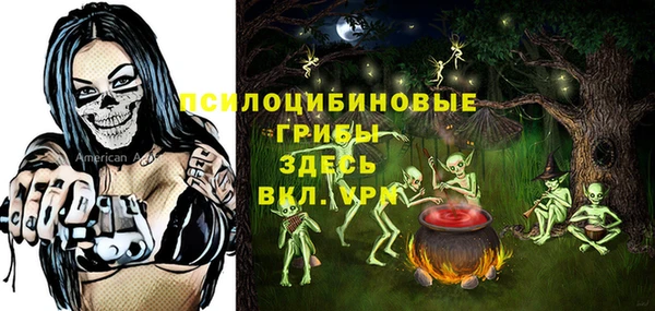 дмт Алзамай
