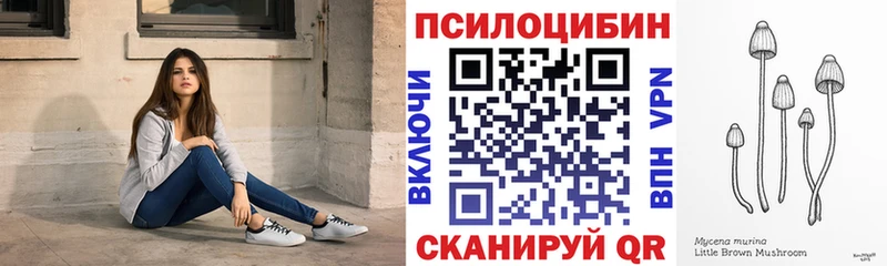 omg ТОР  Мегион  Псилоцибиновые грибы мухоморы  наркотики 